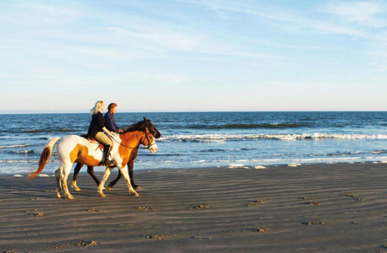 1314 Pelican Watch - Seabrook Island - Beachfront 5 Star Condo - Fido Friendly 外观 照片
